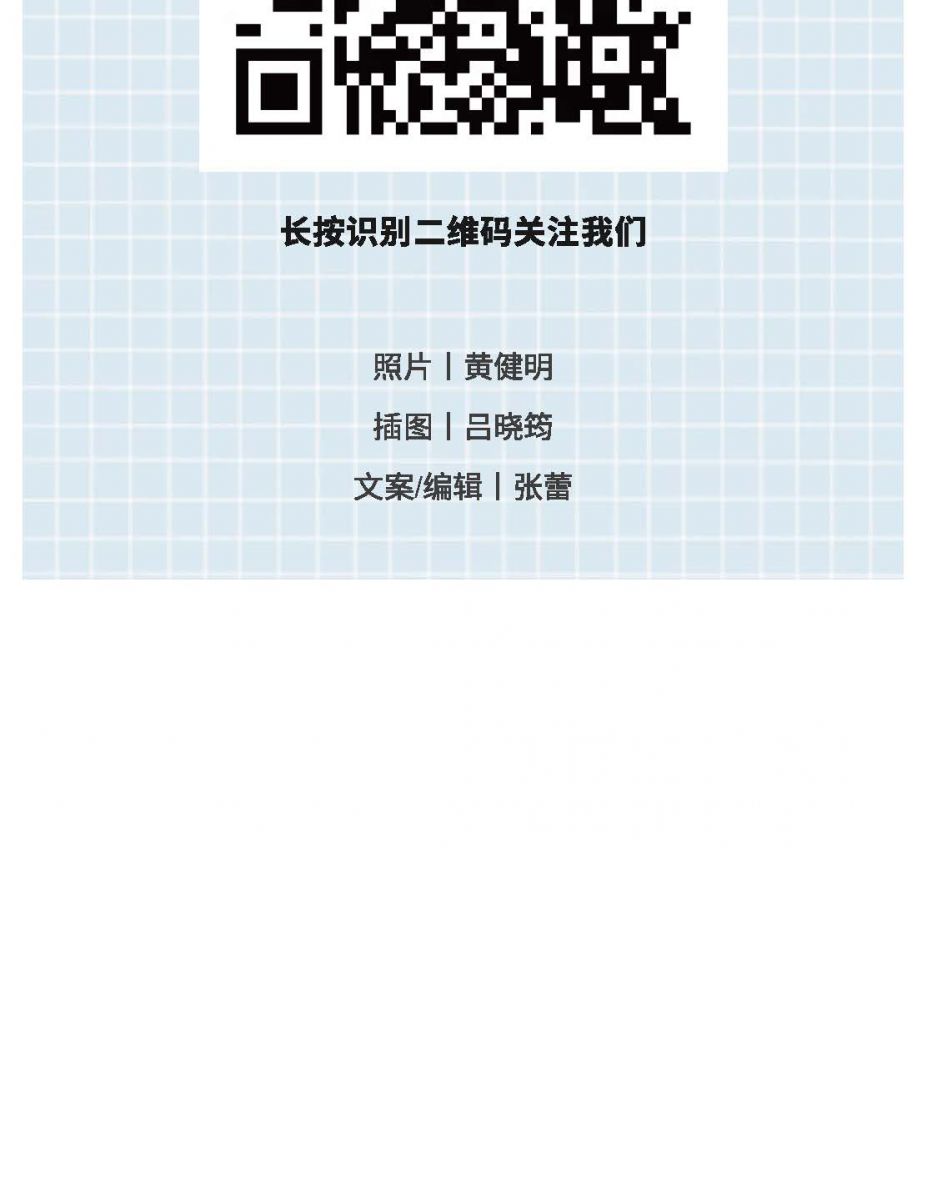 @金溪人，誰“羽”爭鋒！